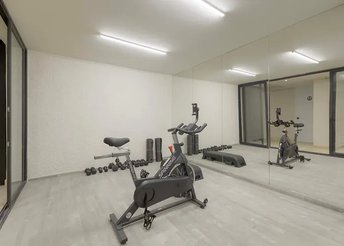 Aristoteles Polanco W Balcony View Apartment Mexico City
