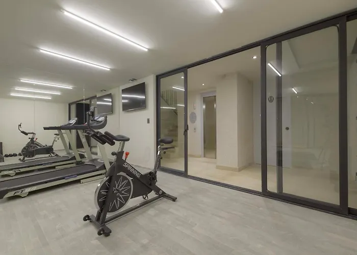 Aristoteles Polanco W Balcony View Apartment Mexico City